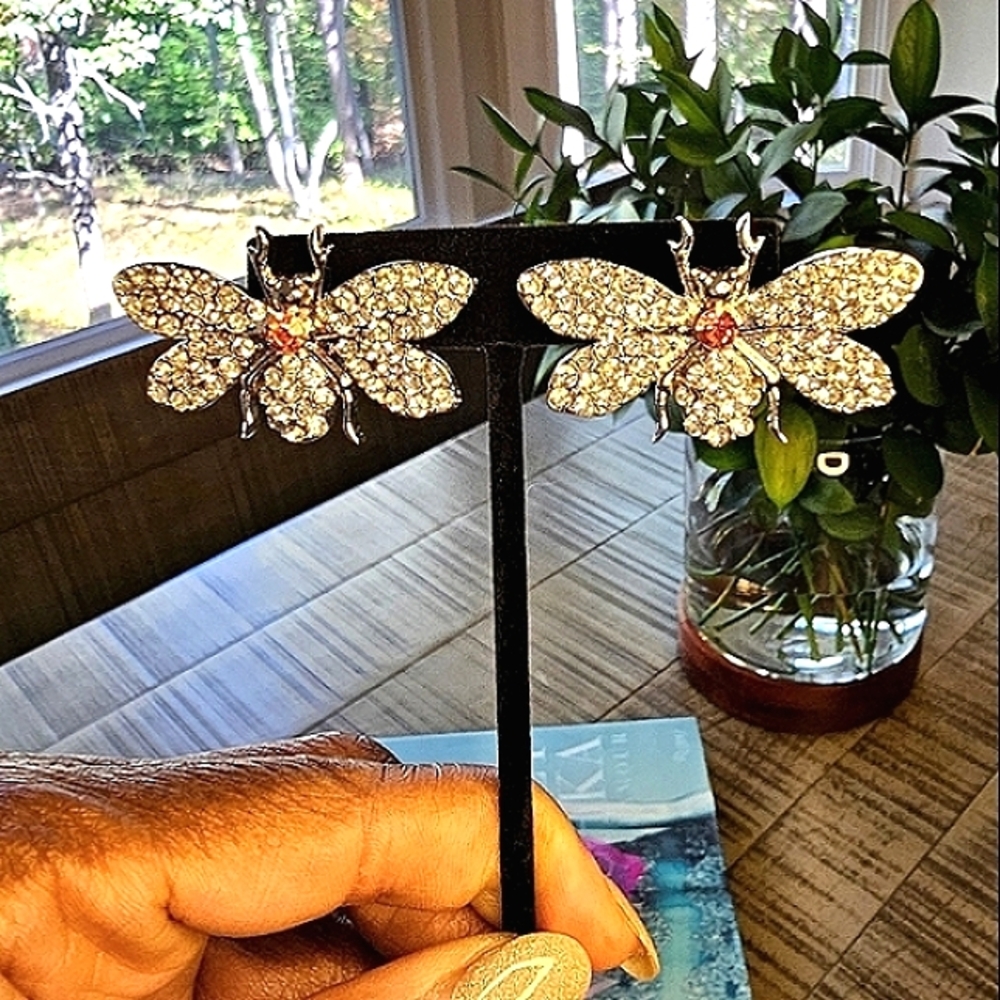 Sassy Jones Large Dragonfly Earrings & Broach
